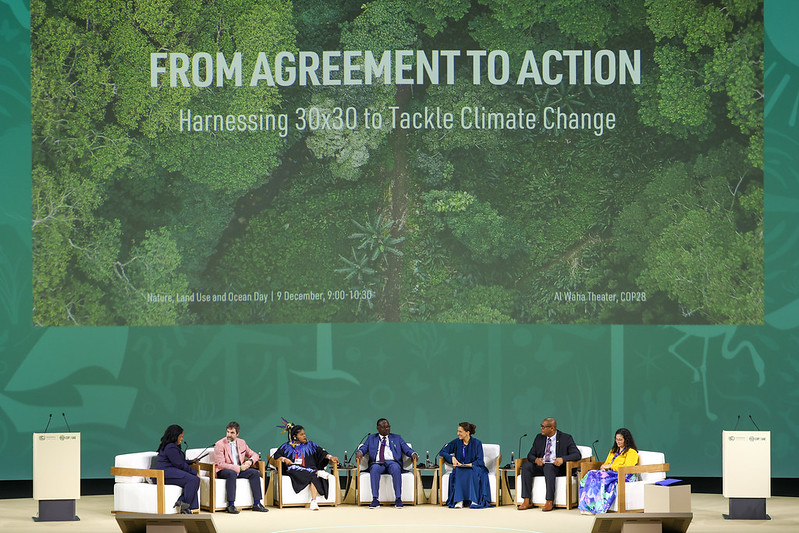 What happened at COP 28